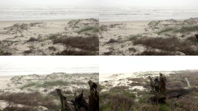 波涛在雾蒙蒙的海滩草原帕德里岛国家海滨墨西哥湾海岸德克萨斯州滚动