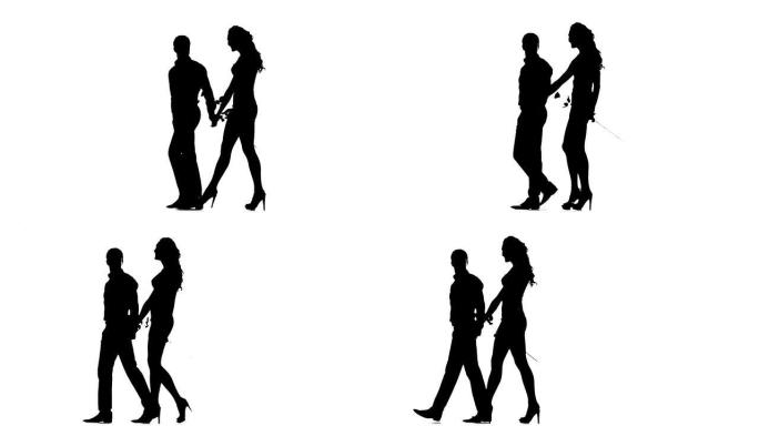 剪影的夫妇在爱，爱和感官。慢动作