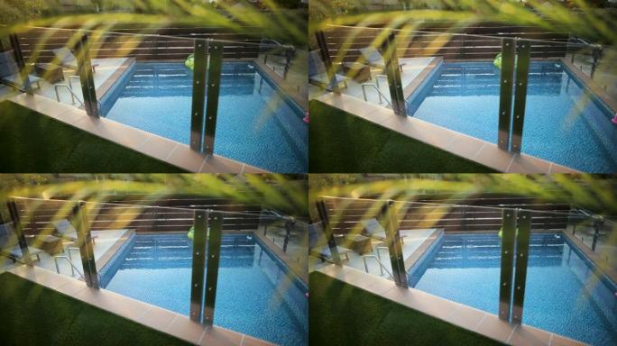 豪华别墅后院的空游泳池，前景是手掌