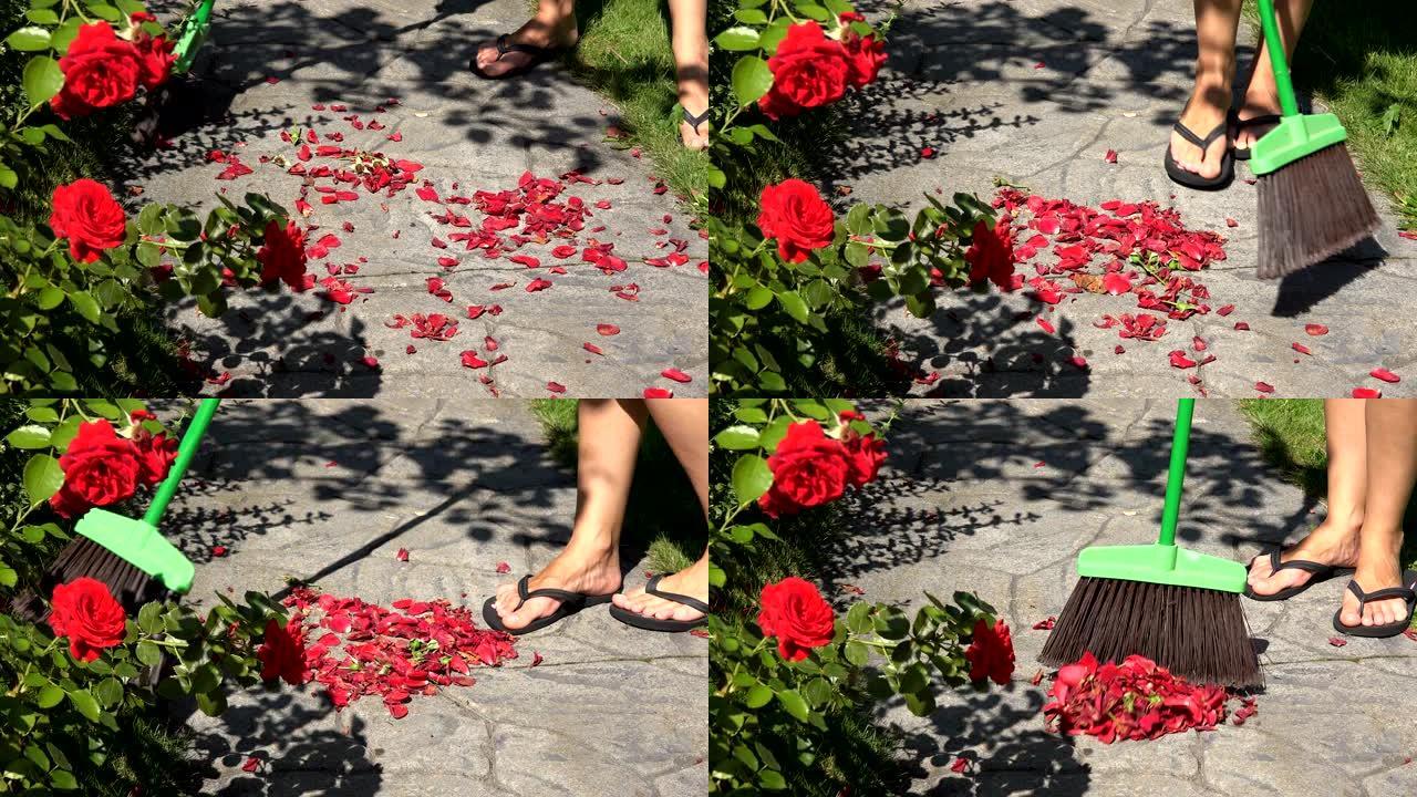 农妇拿着扫帚在后院的石道上扫落的玫瑰花瓣。4 k