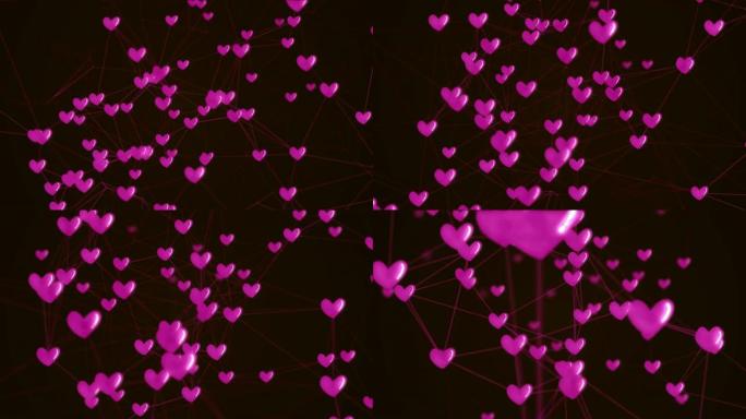 社交网络心脏连接与爱图标结构运动图形粉色黑色背景。抽象未来数字技术动画概念。
