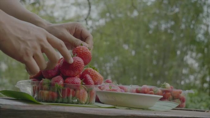 SLO MO; 草莓农民