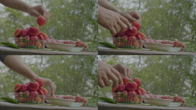 SLO MO; 草莓农民