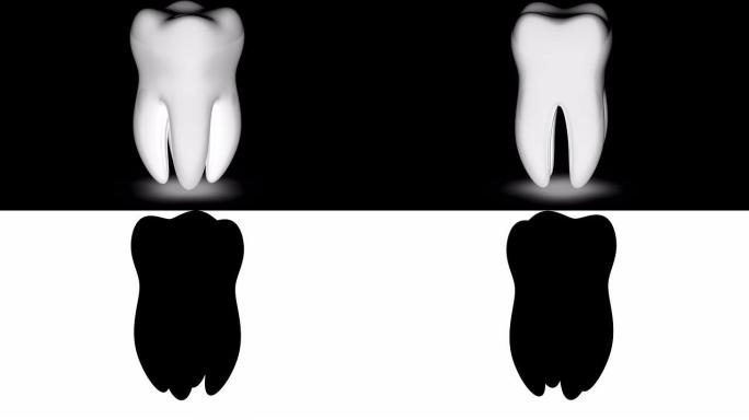 白色背景上的牙齿。循环镜头具有4k分辨率和alpha通道。