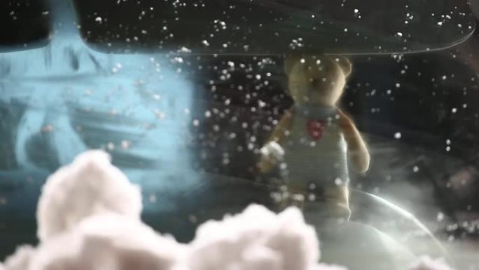 羊毛熊车窗雪高清镜头