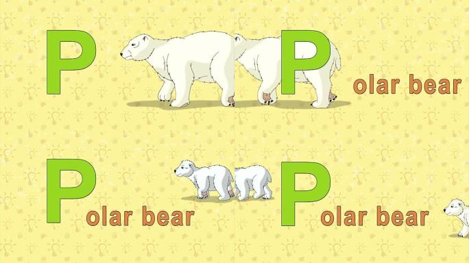 北极熊。英语ZOO字母表-字母P