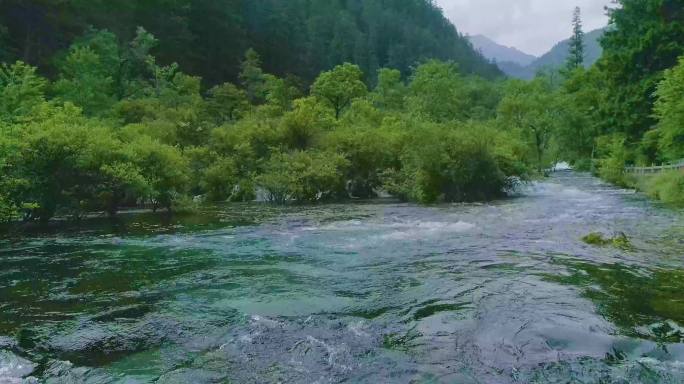 航拍九寨沟山下湍急的河水