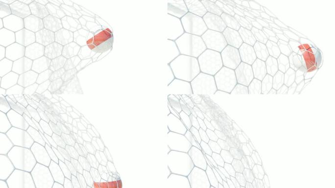 白俄罗斯球慢动作得分