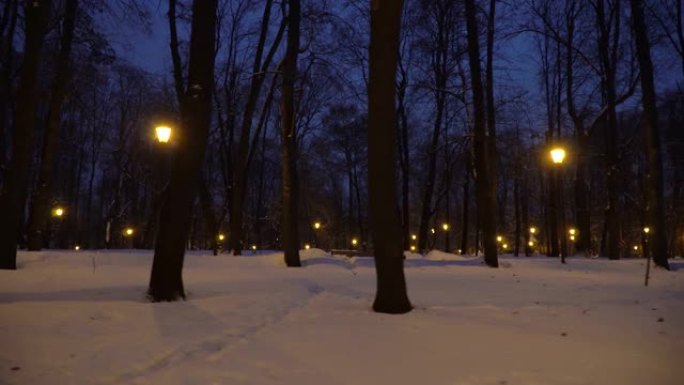 在白雪覆盖的公园的小巷里移动和散步