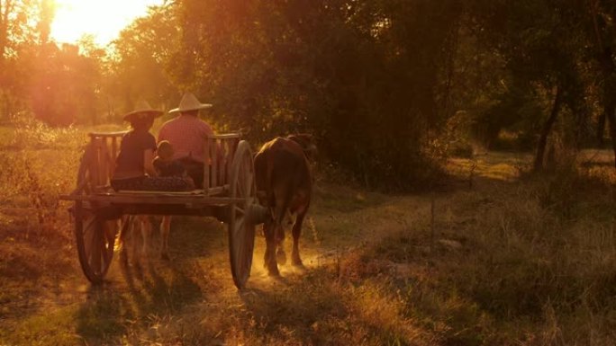 日落时的牛车