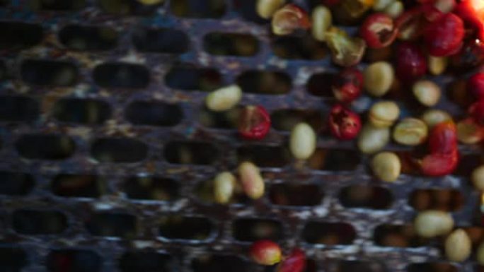 最近从咖啡树中成熟的咖啡豆的湿工艺