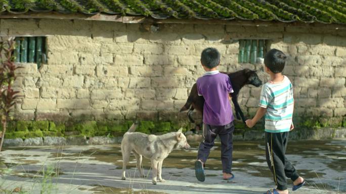 屋前小男孩与狗玩耍