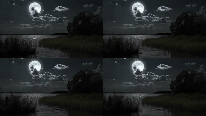 满月夜景观与森林湖。