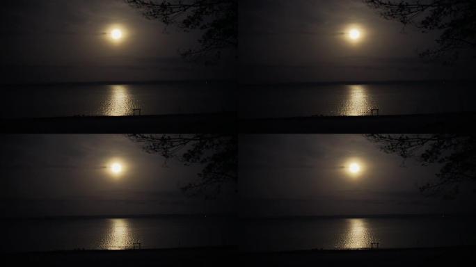 河边有美丽月亮的夜晚