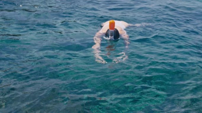 年轻女子在热带海域浮潜和用手机制作水下照片视频