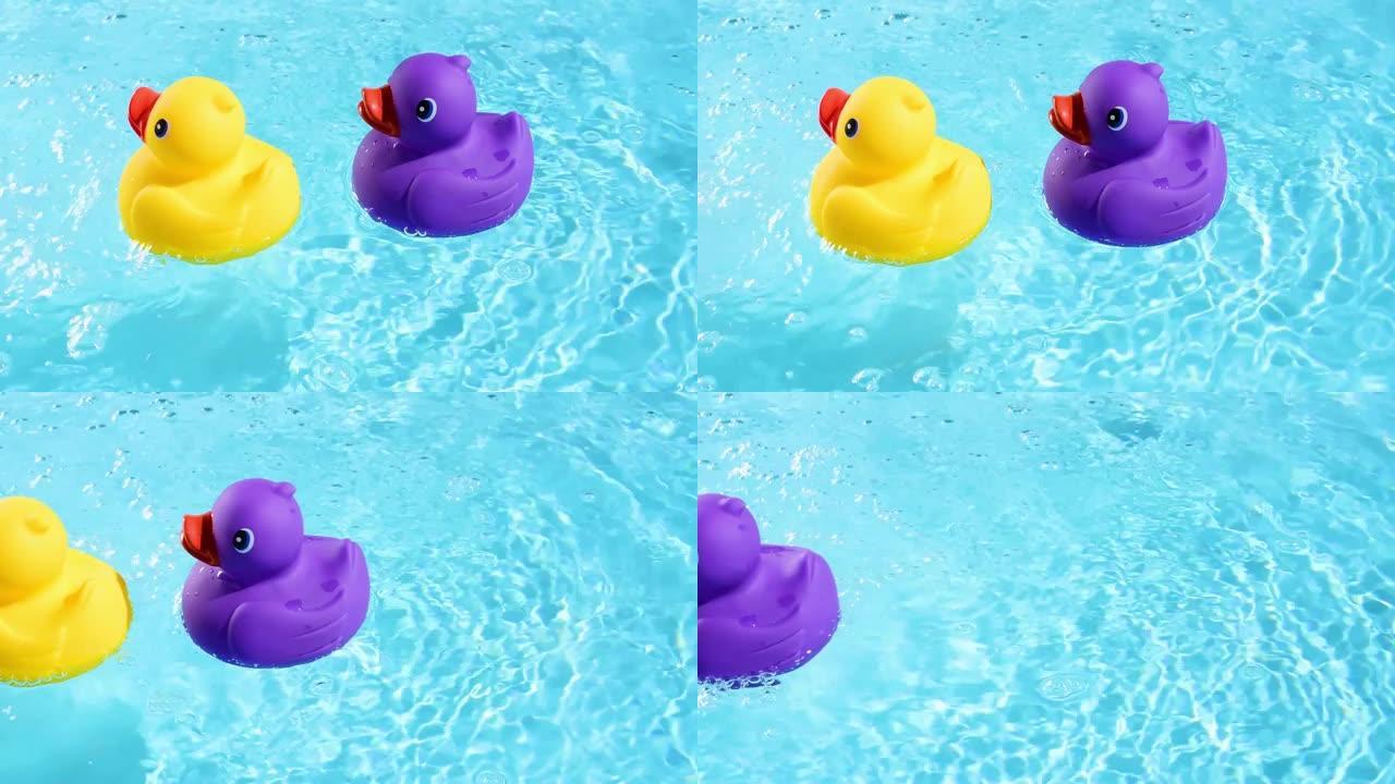 一只黄色和紫色的橡皮鸭在水池的波光粼粼的清澈水中轻松随意地漂流，然后游到图片的左边