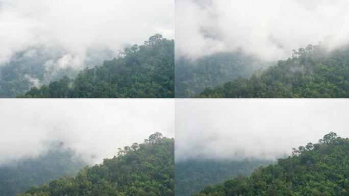 时间流逝雾在早晨沿着山脉移动。