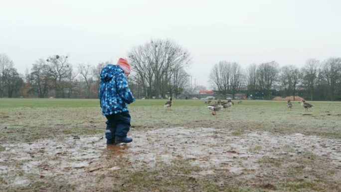 蹒跚学步的孩子在泥泞的公园散步