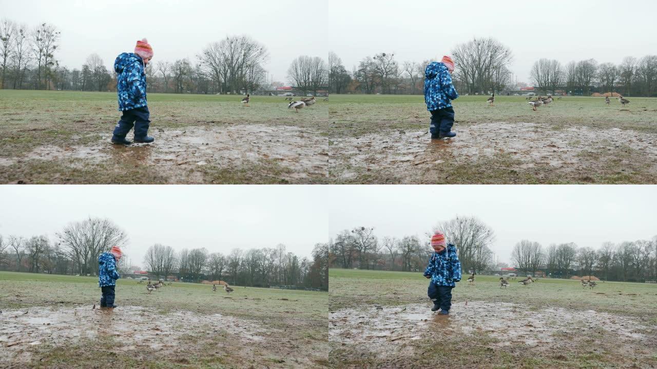 蹒跚学步的孩子在泥泞的公园散步