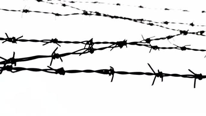 铁丝网-自由