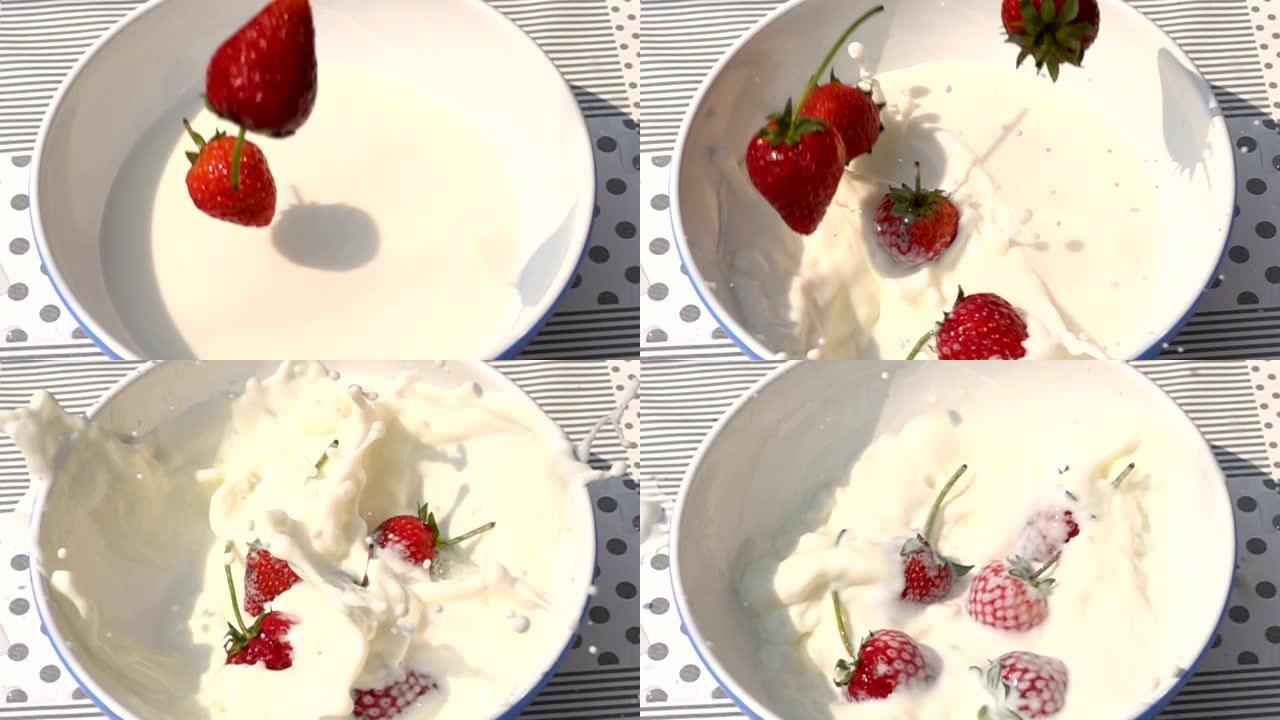 草莓落入装满新鲜牛奶的白色碗中