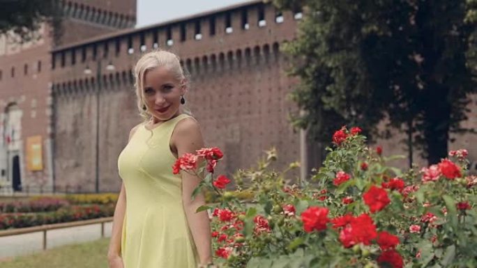 穿着黄色连衣裙的美丽金发女郎站在米兰盛开的玫瑰灌木丛旁边