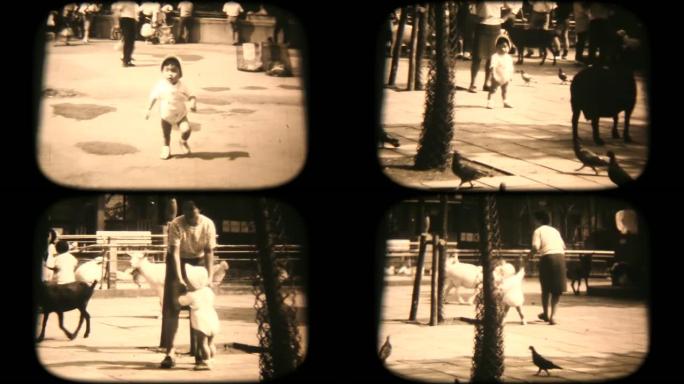60年代的8毫米镜头-在公园散步