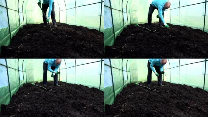 农民在温室里挖地，检查土壤肥力。4K