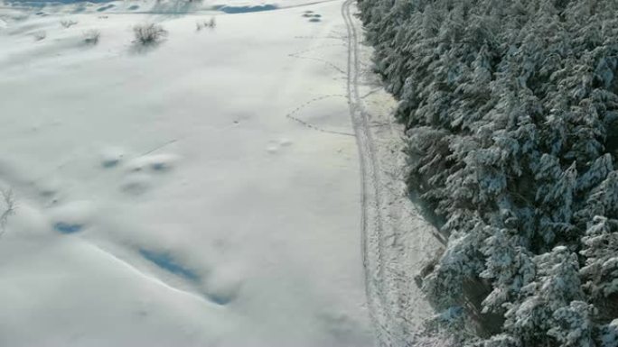 晴天冬季松林和雪路的鸟瞰图