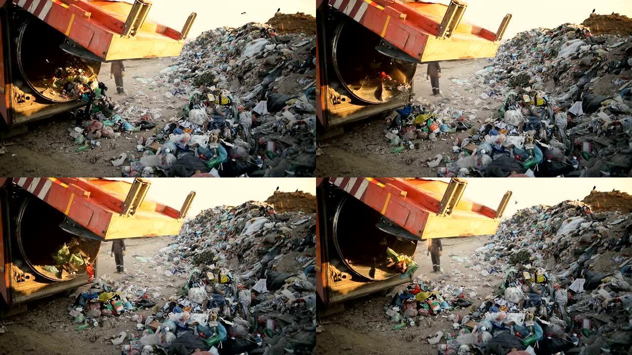 垃圾填埋场上的垃圾车倾倒垃圾。运输垃圾到废物的车辆
