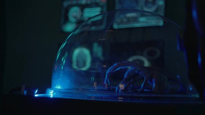 外星生物的一部分身体躺在玻璃下的实验室中