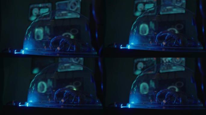 外星生物的一部分身体躺在玻璃下的实验室中
