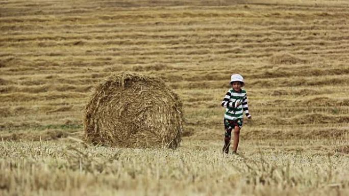 男孩在干草堆附近的田野里奔跑，割草的田野和男孩