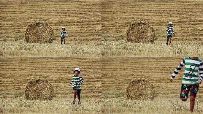 男孩在干草堆附近的田野里奔跑，割草的田野和男孩
