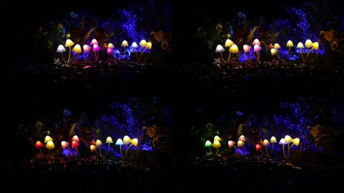 神秘黑暗森林中的幻想发光蘑菇特写。神奇蘑菇或灵魂迷失在阿凡达森林的美丽微距镜头。雾背景上的仙女灯。选