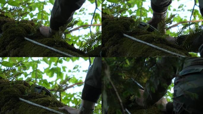 鸣布拉基斯顿的鱼鸮(Bubo blakistoni)国后岛