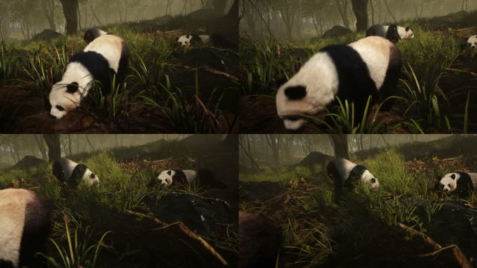 4k熊猫森林