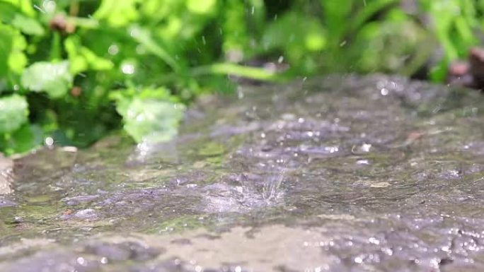 雨滴落在花园里的花岗岩上。水滴滴在湿石头上。循环，动态场景，调色视频。