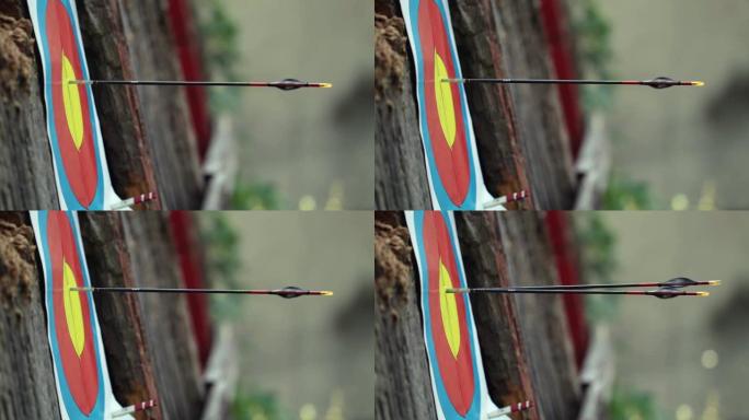 将箭头击中目标。特写。