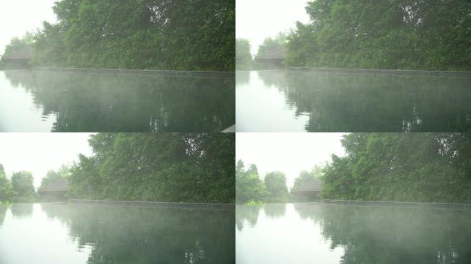 多莉拍摄的晨雾在度假村的游泳池上空移动。早晨寒冷的日子在浓雾中，游泳池周围绿树成荫。