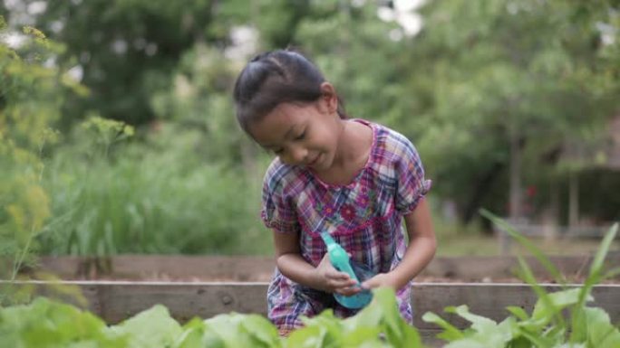 亚洲小可爱女孩浇水在花园里种植。