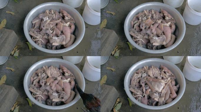 钢盆里的猪肉皮和四处寻找食物的鸡 (特写)