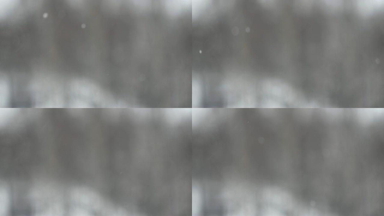 下雪天。窗外落雪，靠着一棵模糊的树