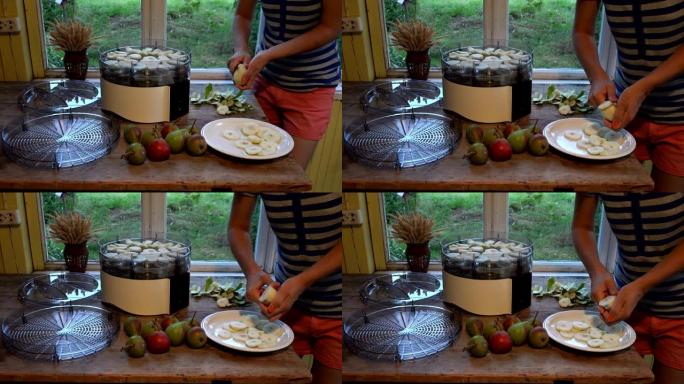 女农手用刀剥皮切熟梨。水果准备在电动干燥机中干燥。静态特写镜头。4K