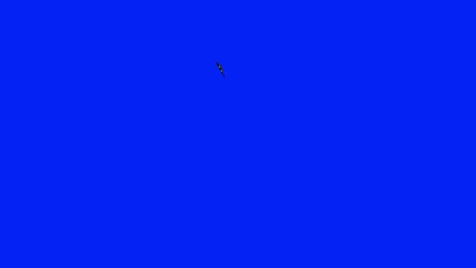 蓝色屏幕背景上不同特技和角度的战斗机