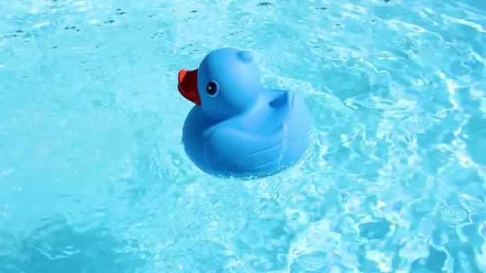 一只蓝色的橡皮鸭从右边漂浮在图片中，可以很容易地在水池的清澈水中漂流