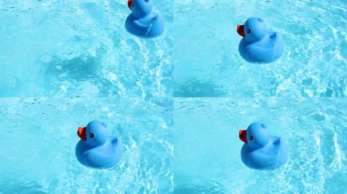 一只蓝色的橡皮鸭从右边漂浮在图片中，可以很容易地在水池的清澈水中漂流