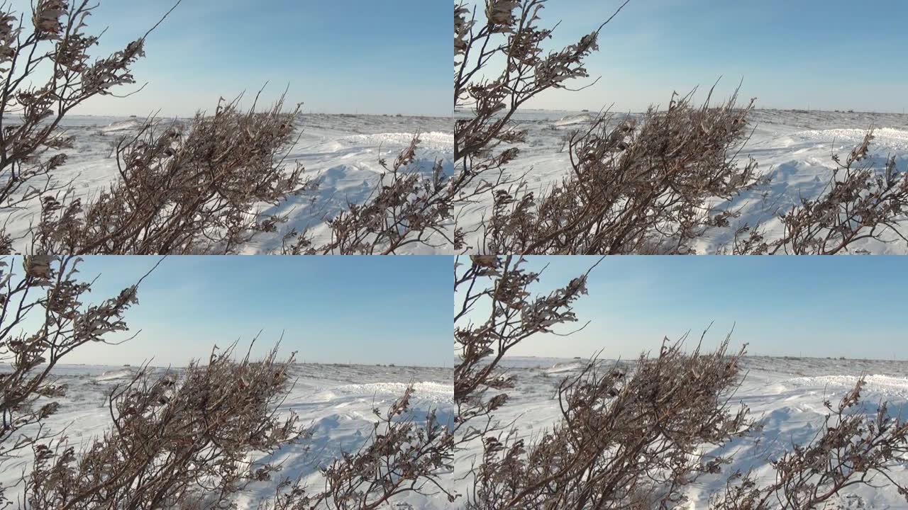 俄罗斯最北部阿纳德尔的雪沙漠性质。