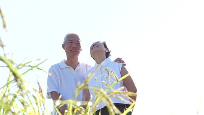 酷酷的亚洲老年夫妇穿着白衬衫在自然草地上享受阳光