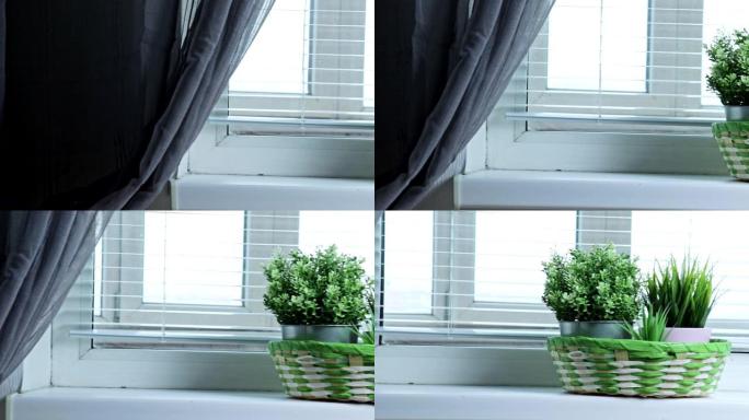 用百叶窗慢慢在窗户上滑动，并固定在窗台上的绿色植物上，介绍